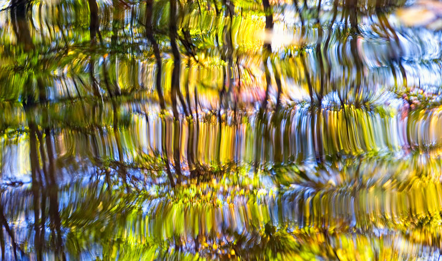 Stained Glass Autumn Photograph by William Britten - Fine Art America