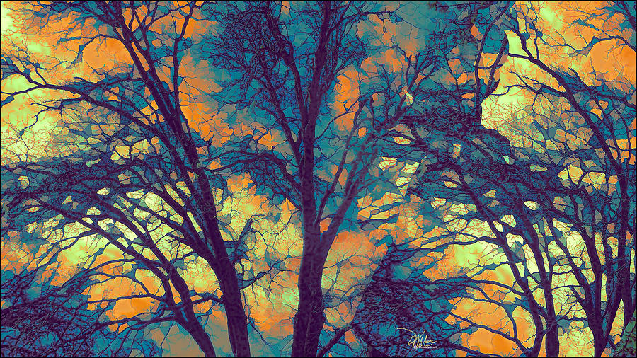 Tree Photograph - Stained Glass Forest No. 6 by Douglas MooreZart