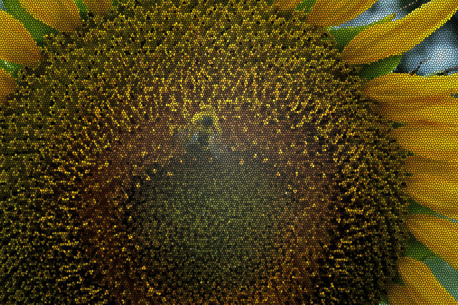 Stained glass Sunflower Photograph by Ricardo Dominguez