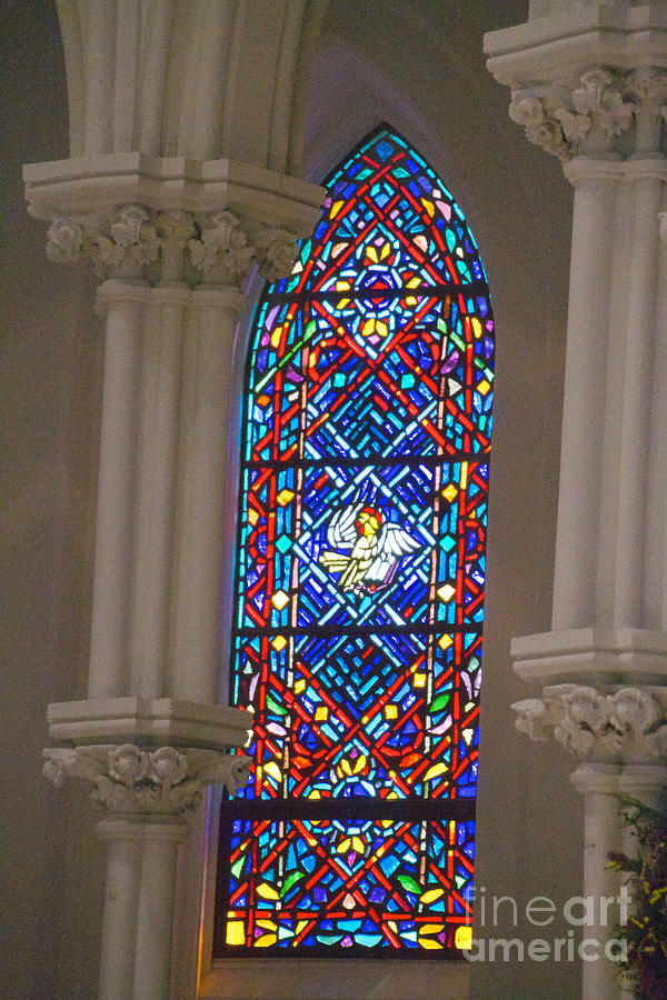 Stained Glass Photograph by William Norton