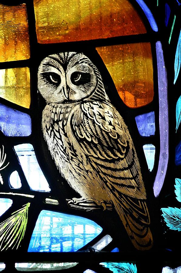 Stainedglass Owl Photograph by Henry Kowalski