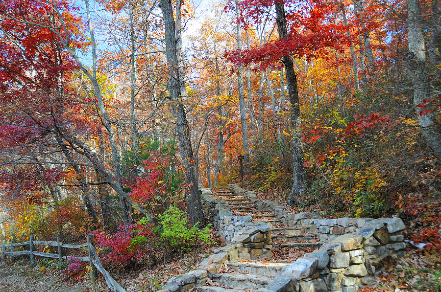 Staircase to Fall Photograph by Lynn Bauer