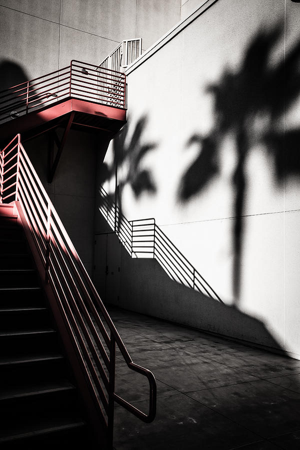Stairs and shadows of palm trees Photograph by Sviatlana Kandybovich