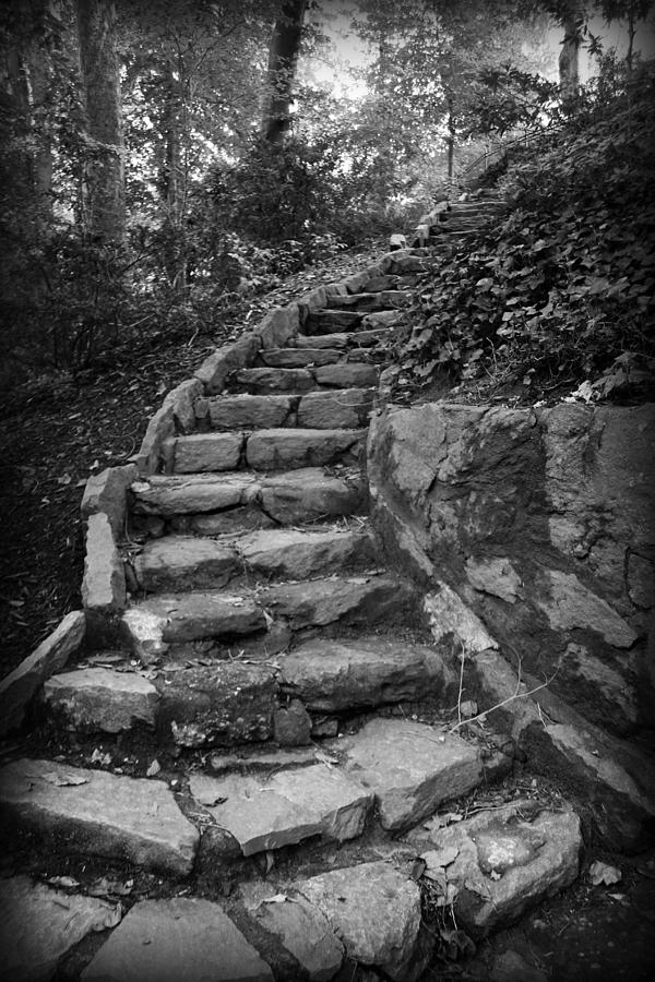 Black And White Photograph - Stairs in a Garden by Kelly Hazel