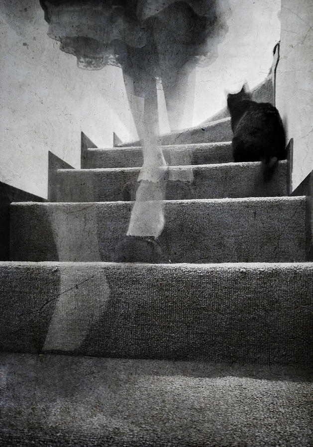 Halloween Photograph - Stairs by Laura Melis