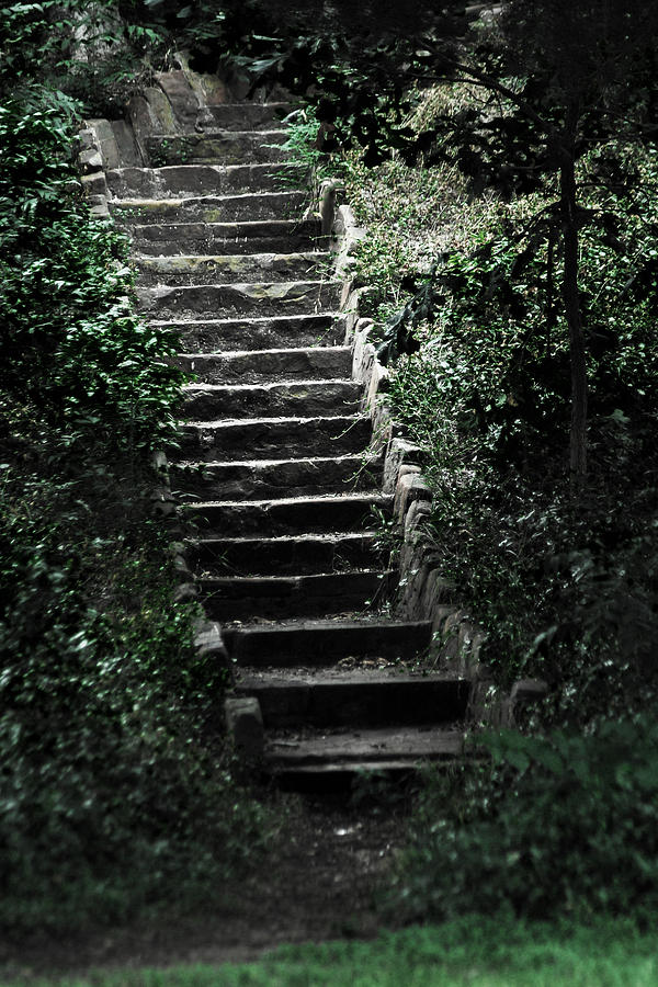 Stairs of Stone Photograph by Tracy Smith Stairs of Stone Photograph by Tracy Smith