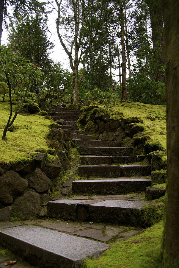 Portland Photograph - Stairs to serenity  by Stephanie  Welzel