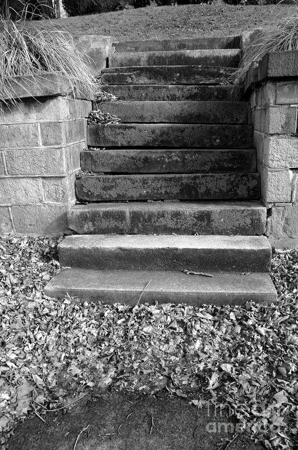 Stairs To The Past Photograph by Susan Carella