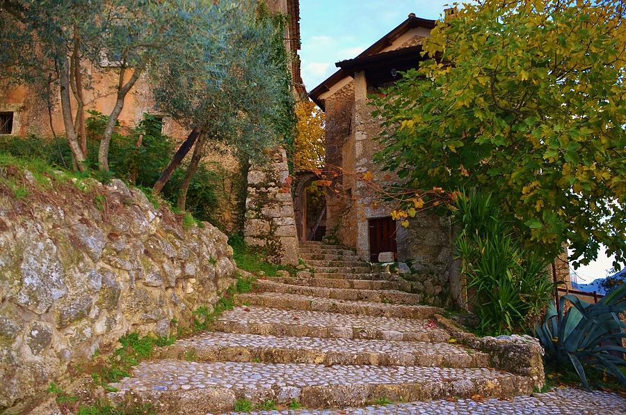 Tree Photograph - Stairs to the village by Dany Lison