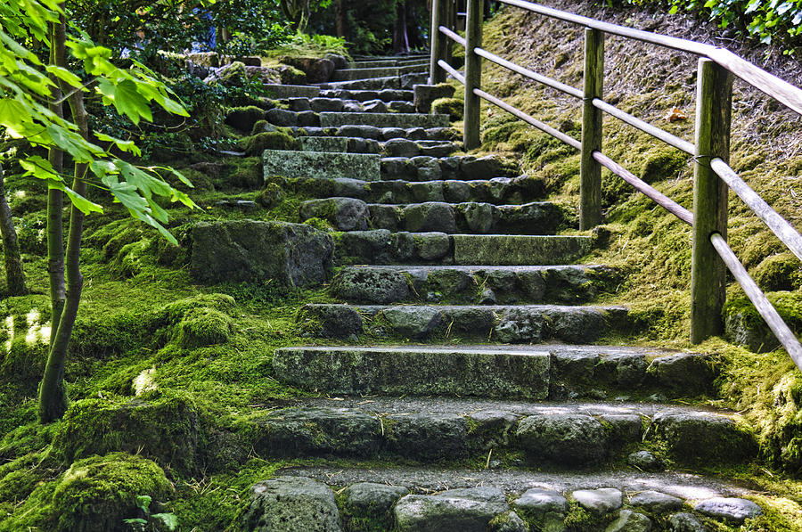 Stairway at Japanese Garden Photograph by Betty Eich