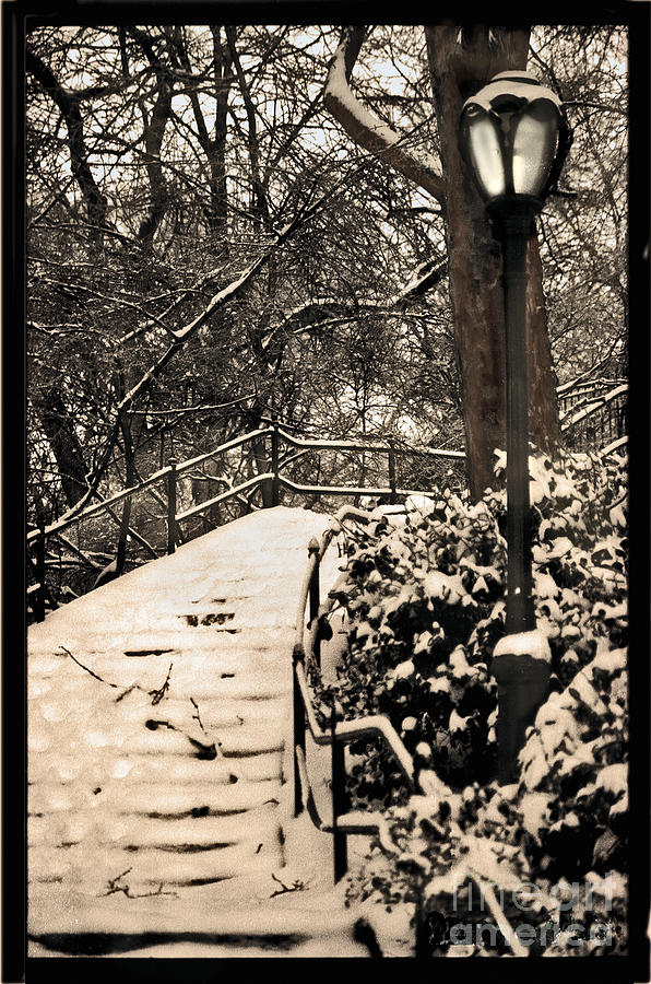 Stairway In Central Park On A Stormy Day Photograph by Madeline Ellis
