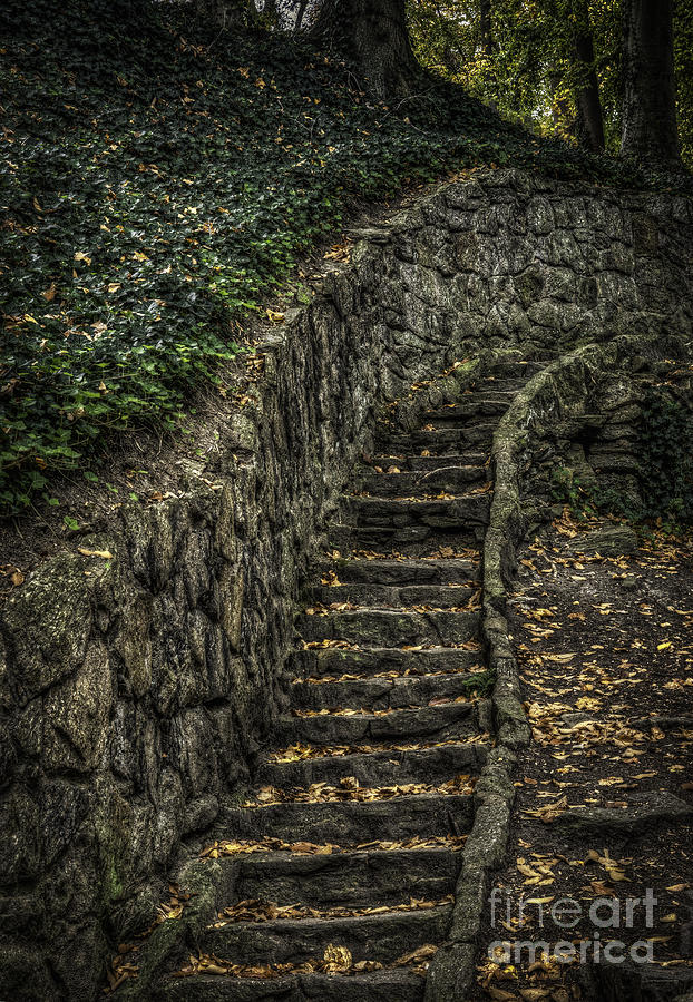 Stairway in the Park Photograph by David Waldrop