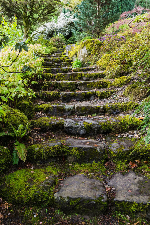 Up Movie Photograph - Stairway In The Secret Garden by Priya Ghose
