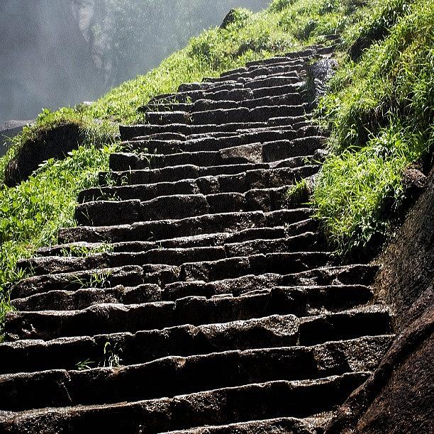 Stairway In Yosemite National Park Photograph by Saul Jesse Beas