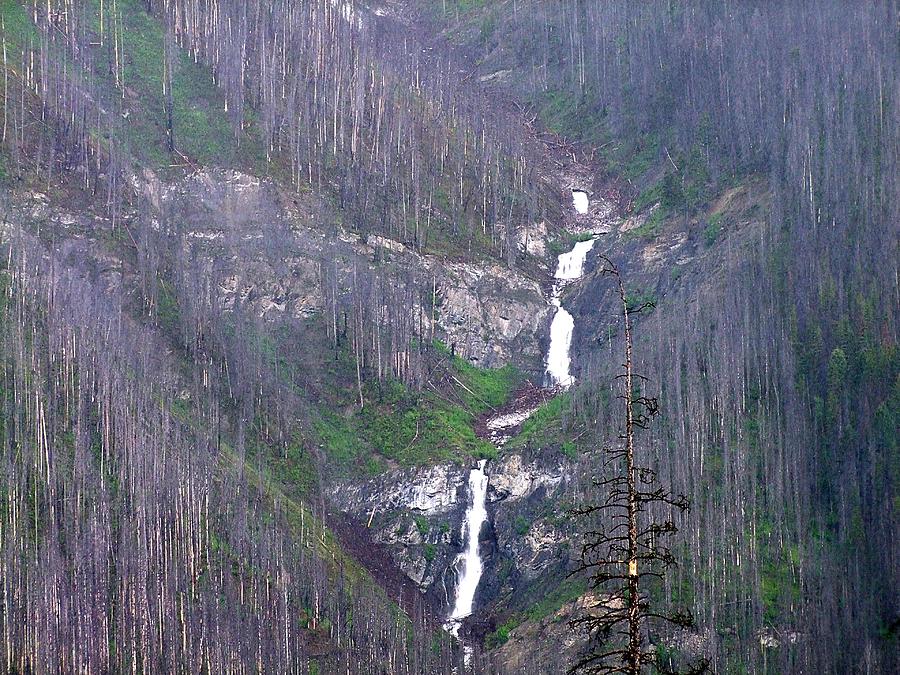 Stairway of water Photograph by George Cousins | Fine Art America