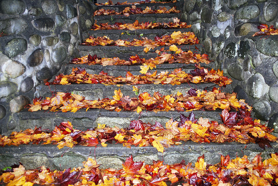 Stairway to Autumn  Photograph by Bill Thomson