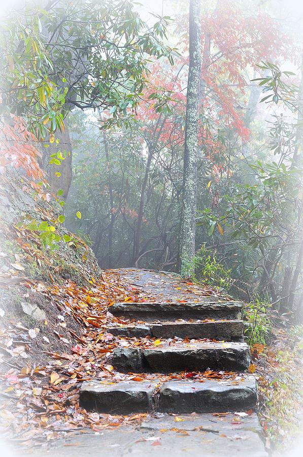 Fall Photograph - Stairway to Creation by Todd Hostetter