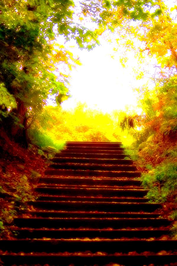Stairway to... Photograph by Daniel Thompson