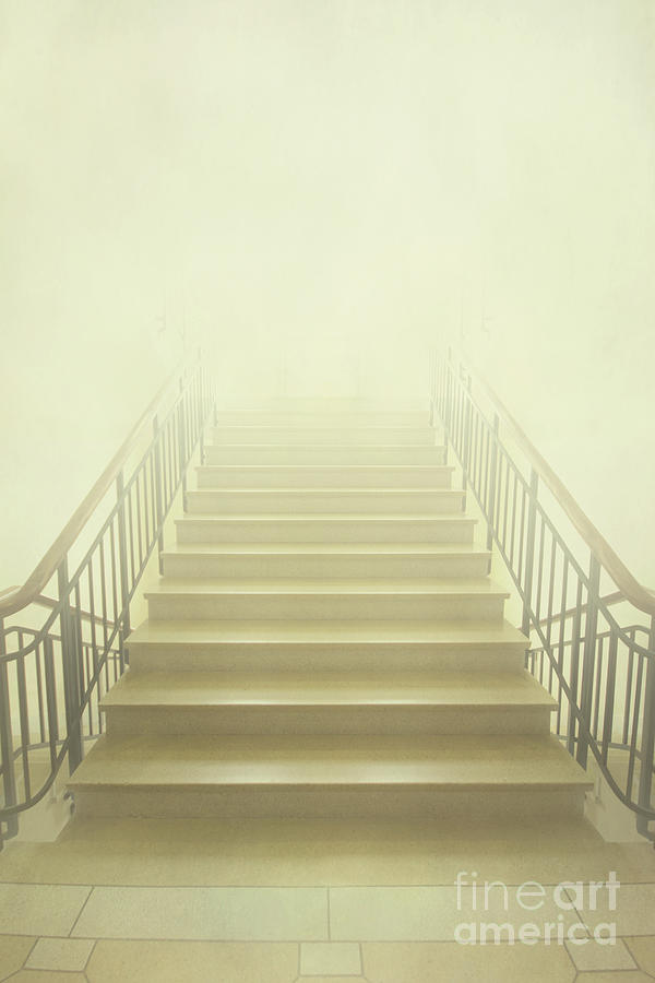Bridge Photograph - Stairway To Heaven by Evelina Kremsdorf