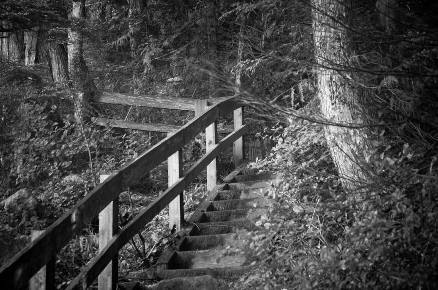 Stairway to Heaven Photograph by Jenn Munson - Pixels