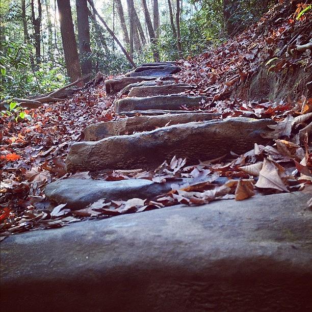 Fall Photograph - Stairway To Heaven by Nick Heller