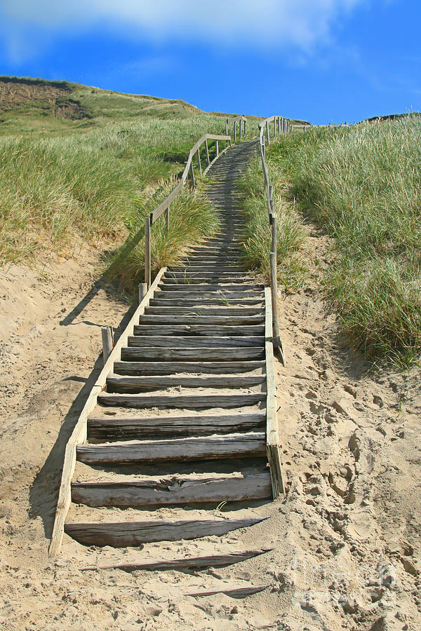 Summer Photograph - Stairway To Heaven by Ste Flei