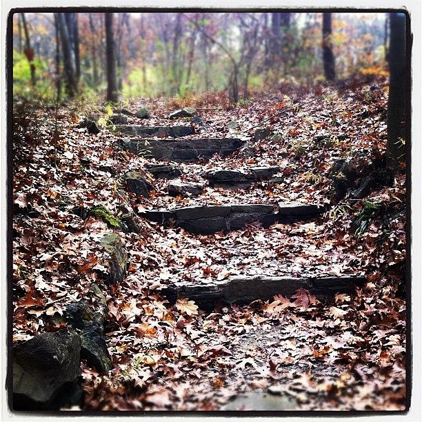 Fall Photograph - Stairway To by J Telischak