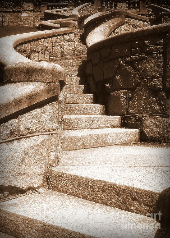 Nature Photograph - Stairway To by Nancy Dole McGuigan