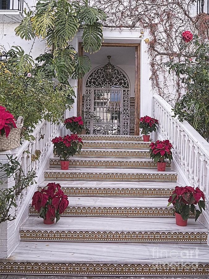 Stairway to Spanish House Photograph by Brenda Kean