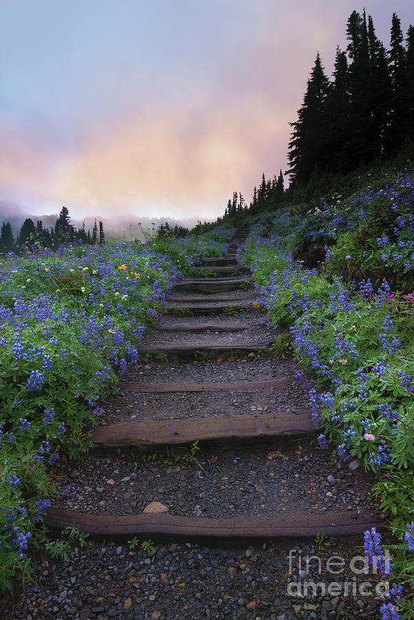 Stairway To The Heavens Photograph