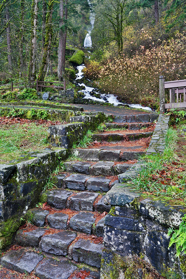 Stairways Leading To Wahkeena Falls Photograph by Darrell Gulin
