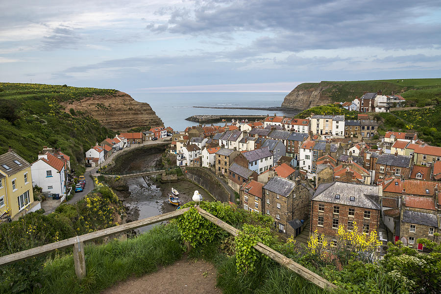 Staithes village at dusk, North Yorkshire, England Photograph by Photos by R A Kearton