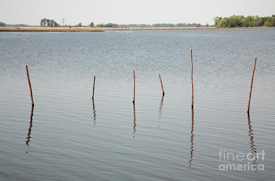 Stakes in the Water Photograph by William Kuta