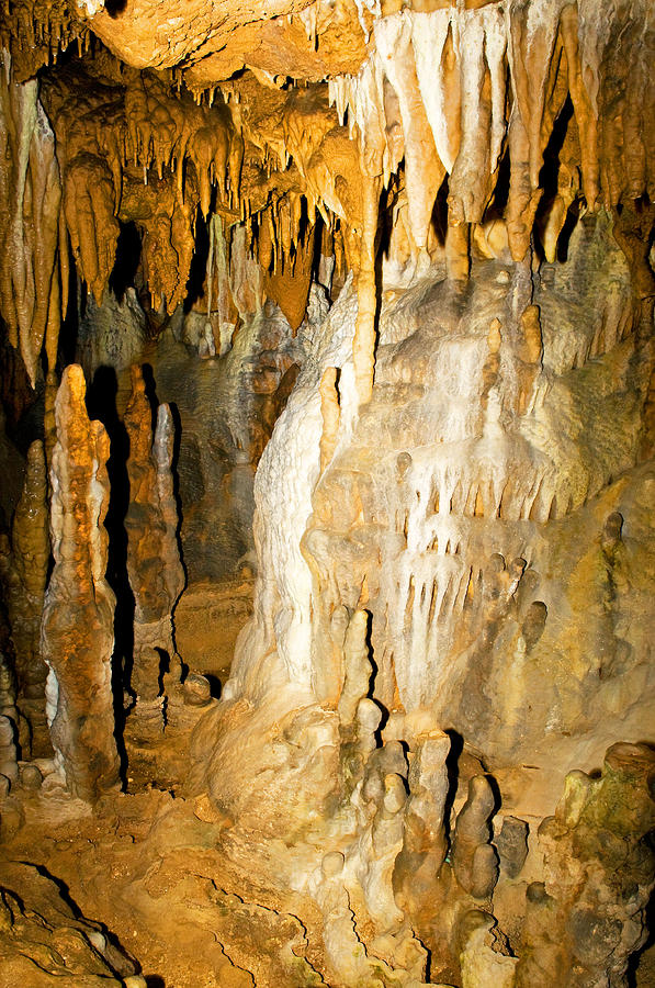 Stalactite And Limestone Cascade Photograph by Millard H. Sharp - Fine ...