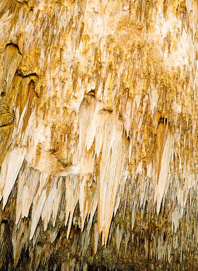Stalactite Formations In Carlsbad Photograph by Millard H. Sharp