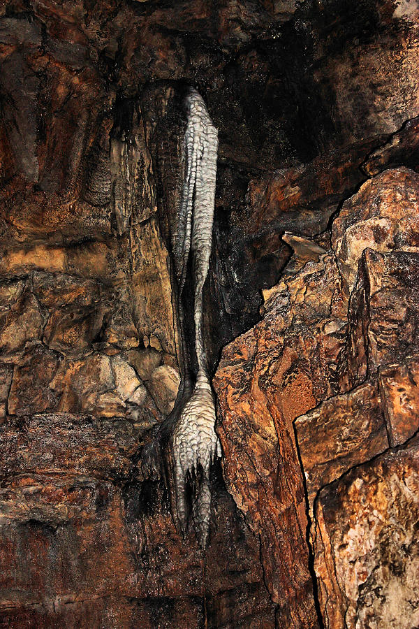 Stalactite in Mammoth Cave Photograph by Kristin Elmquist