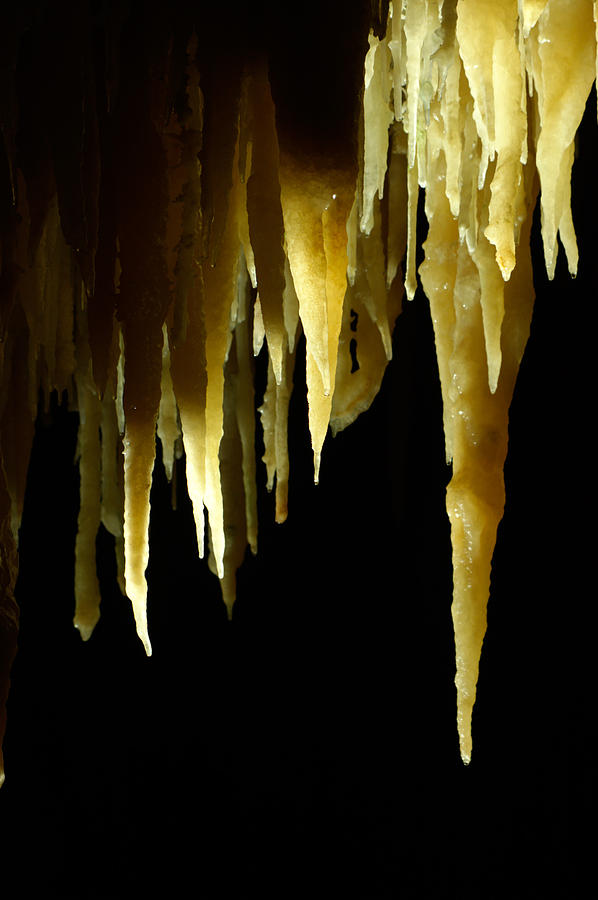 Stalactites, Castellana Caves, Italy Photograph by Francesco Tomasinelli