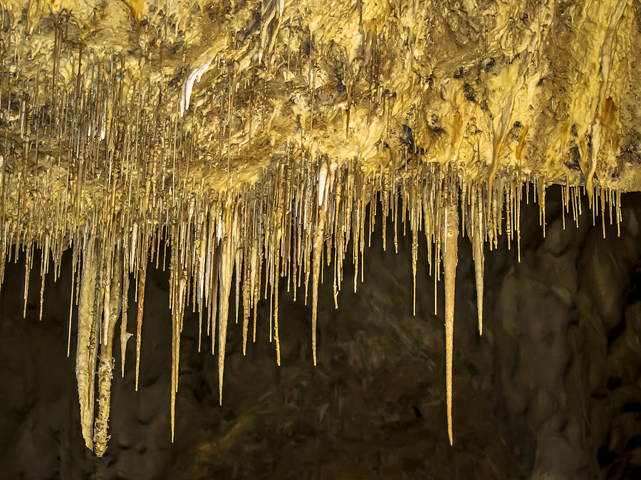 Stalactites in Carlsbad Caverns Photograph by Jean Noren
