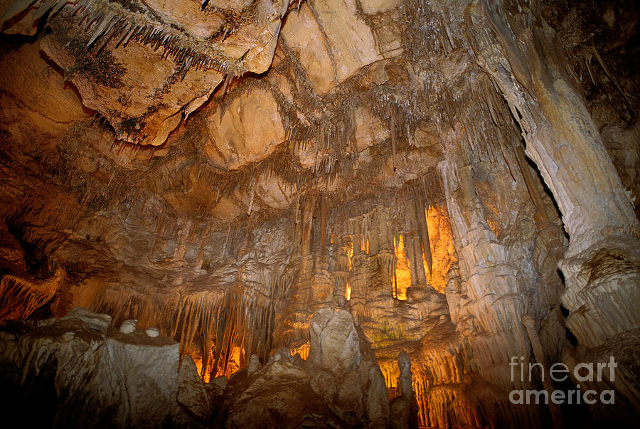 Stalactites In Lehman Cave, Great Basin Photograph by Ron Sanford