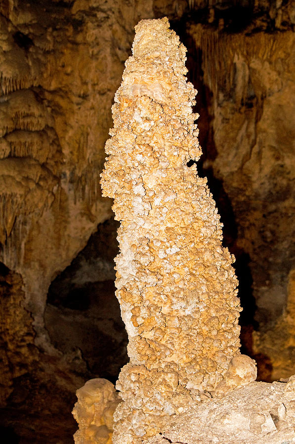 Stalagmite Formation In Carlsbad Caverns Photograph by Millard H. Sharp