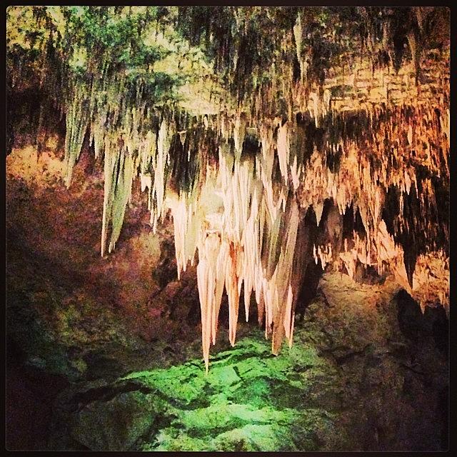 Stalagtites Photograph by Paula Manning-Lewis