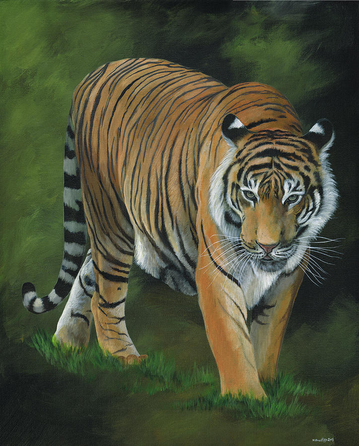 Nature Painting - Stalking Tiger by Heather Bradley