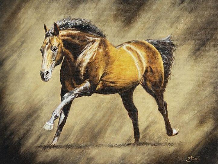 Stallion-Desert Prince Painting by Barry J Davis - Fine Art America