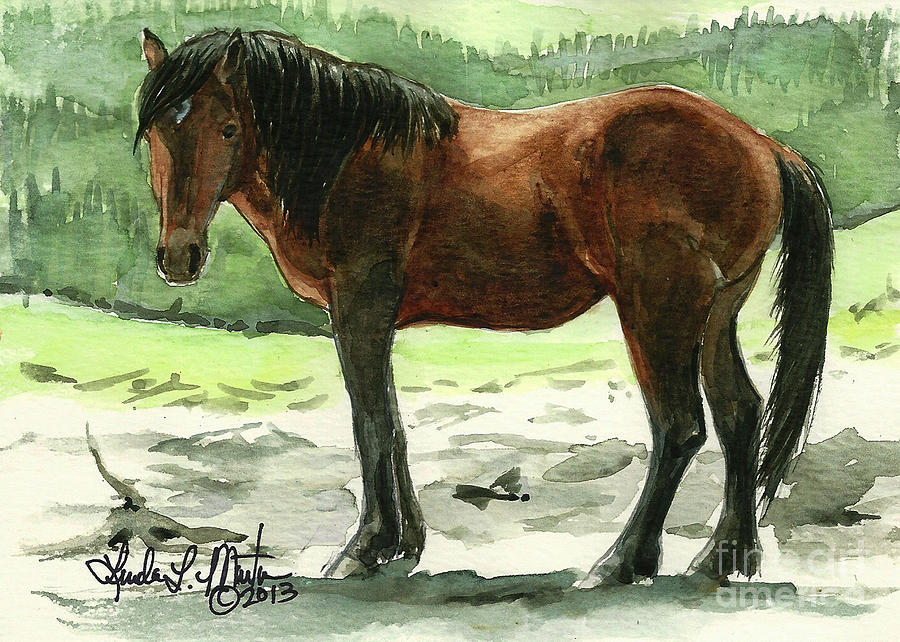 Stallion of The Clear-cut Painting by Linda L Martin
