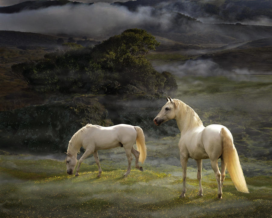 Stallions of the Gods Photograph by Melinda Hughes-Berland