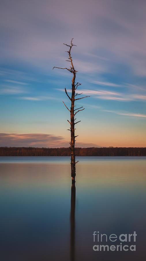 Sunset Photograph - Stand Alone 16x9 Crop by Michael Ver Sprill