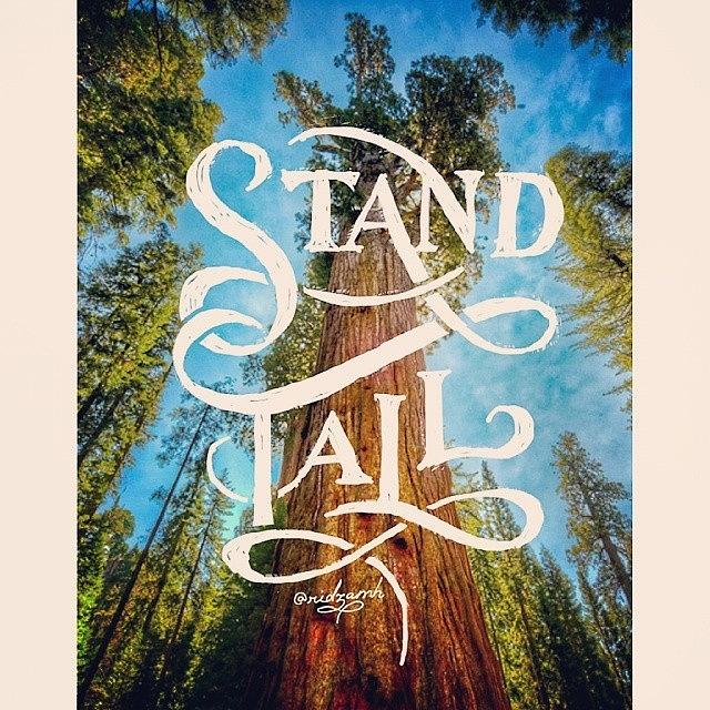 Typography Photograph - Stand Tall.

keep Stand Tall Like A by Ridza MH
