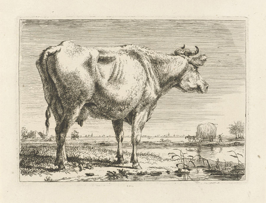 Download Standing Cow, Pieter Gerardus Van Os Drawing by Pieter ...