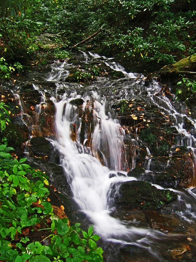 Standing in Motion - Cascading Stream Photograph by George Bostian