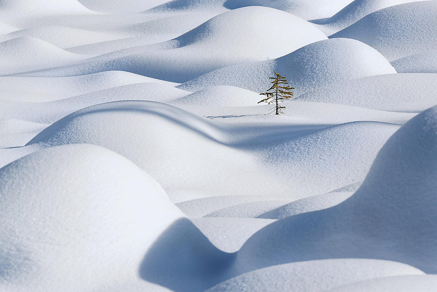 Winter Photograph - Standing In The Waves by Victor Liu